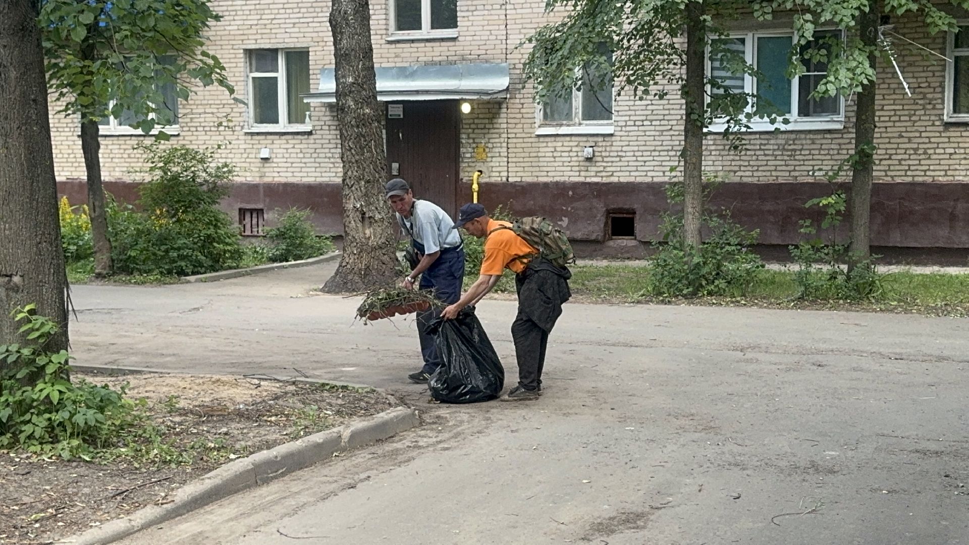 Солнечногорск, Уборка, покос травы, мбу, жители,