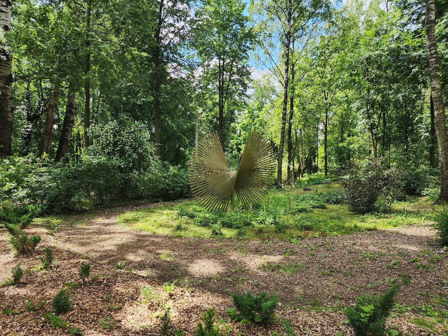 туризм, Волхонка, дендрарий, Ногинск, Богородский городской округ,