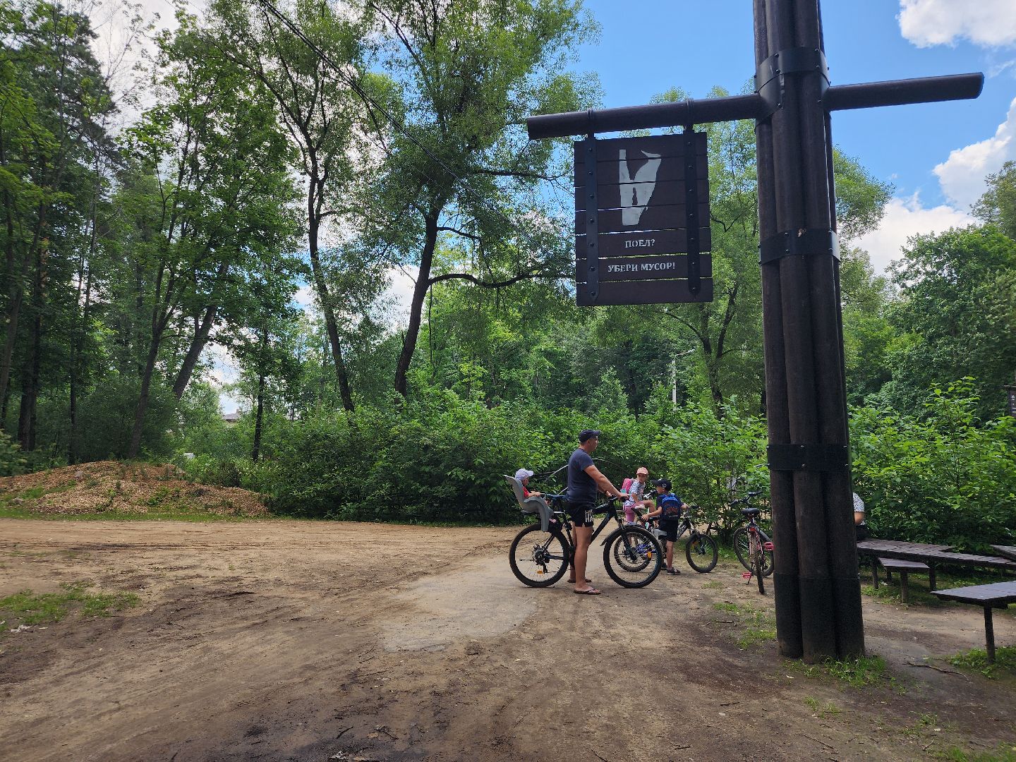 туризм, Волхонка, дендрарий, Ногинск, Богородский городской округ,