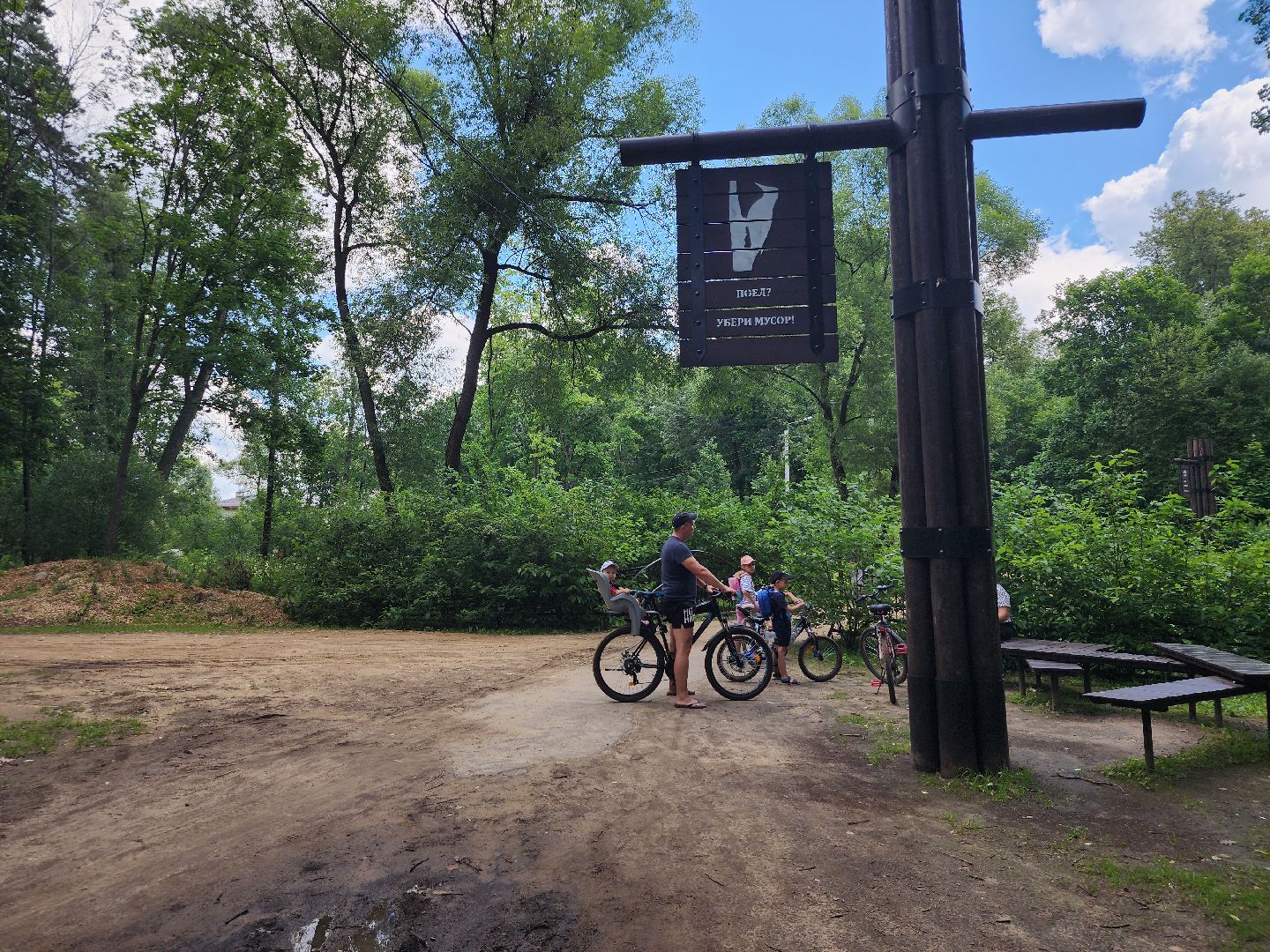 туризм, Волхонка, дендрарий, Ногинск, Богородский городской округ,
