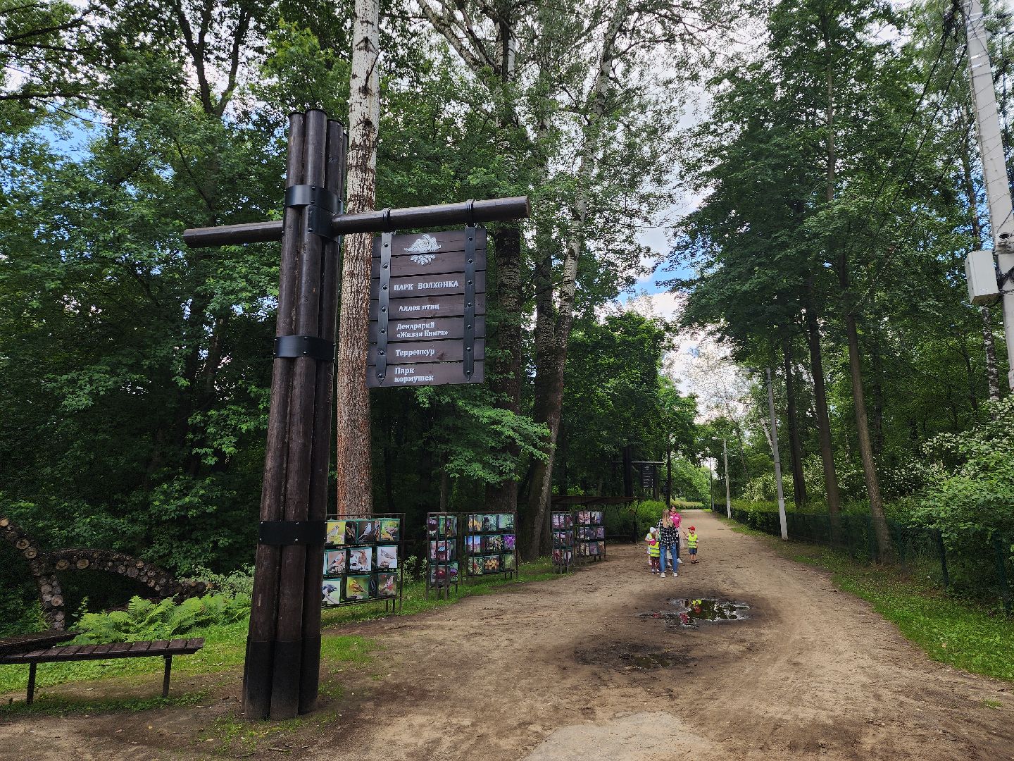 туризм, Волхонка, дендрарий, Ногинск, Богородский городской округ,