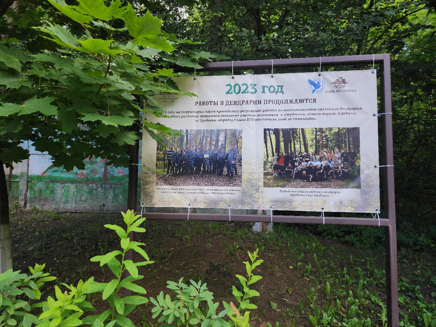 туризм, Волхонка, дендрарий, Ногинск, Богородский городской округ,