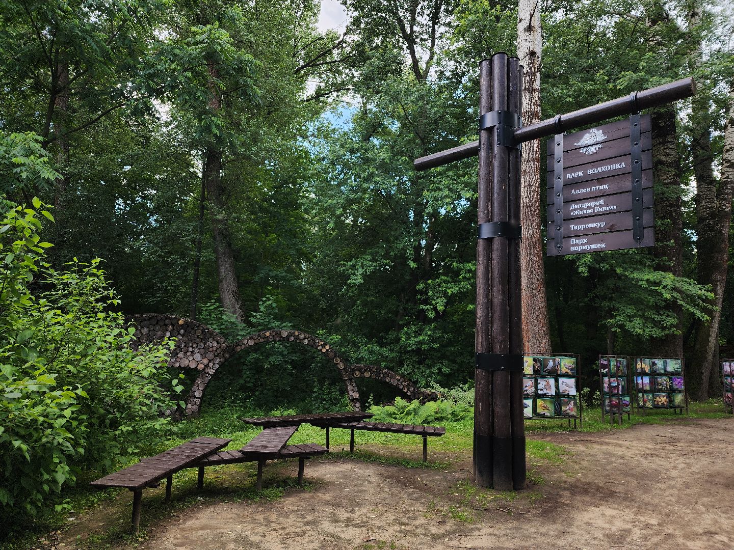 туризм, Волхонка, дендрарий, Ногинск, Богородский городской округ,