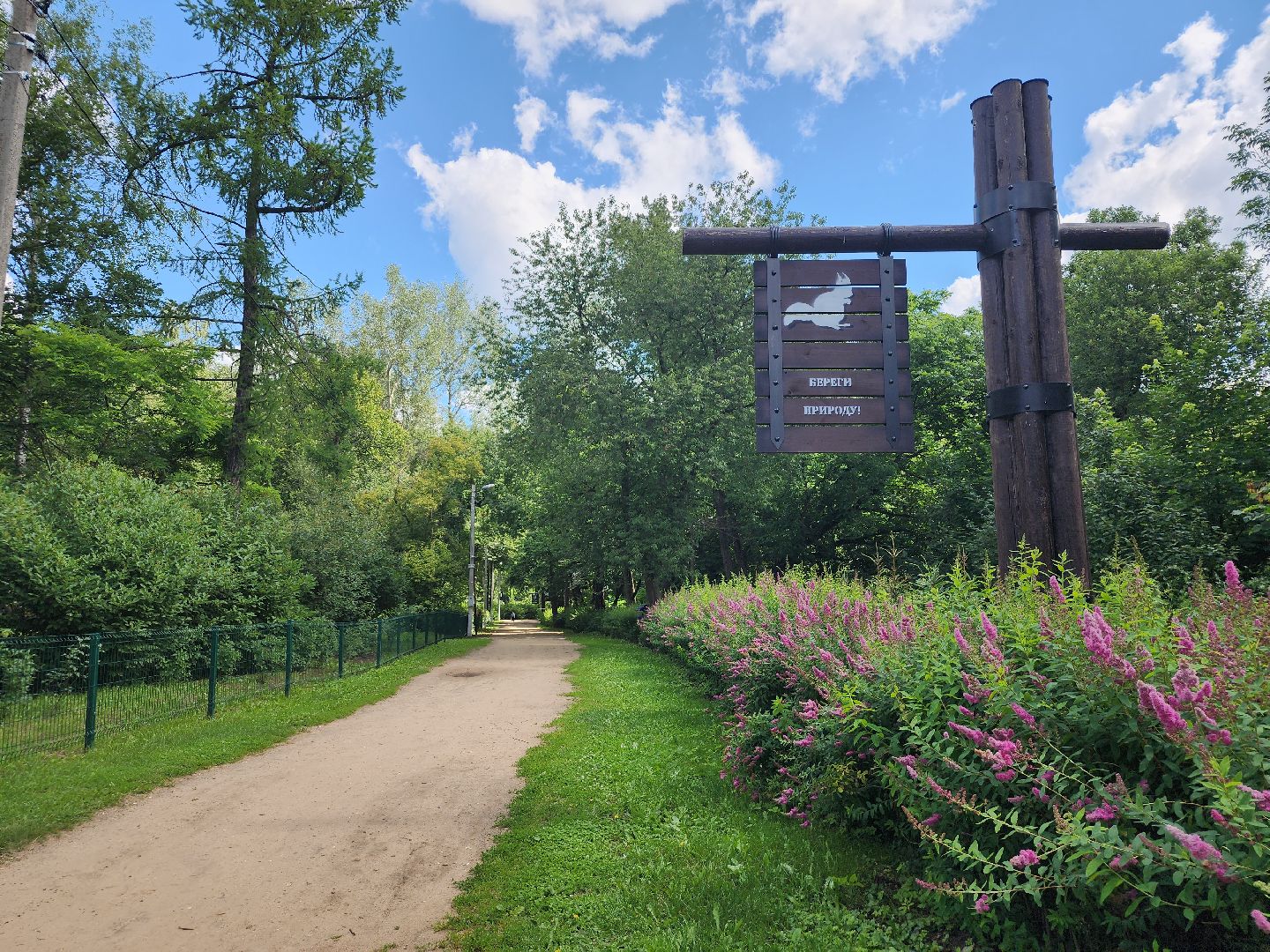 туризм, Волхонка, дендрарий, Ногинск, Богородский городской округ,