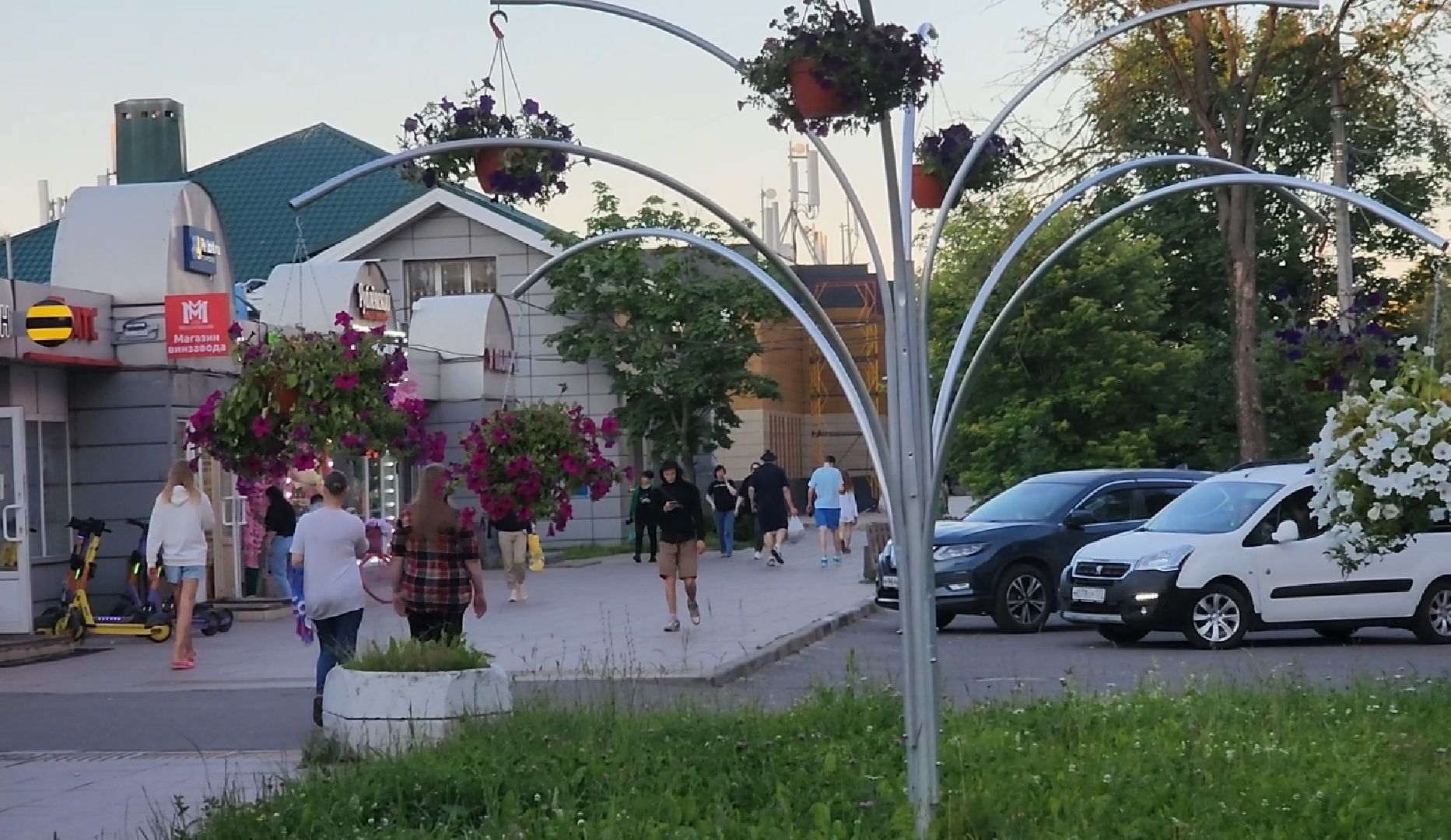 долгопрудный, клумбы, петуньи, Проспект Пацаева, мбу благоустройство,