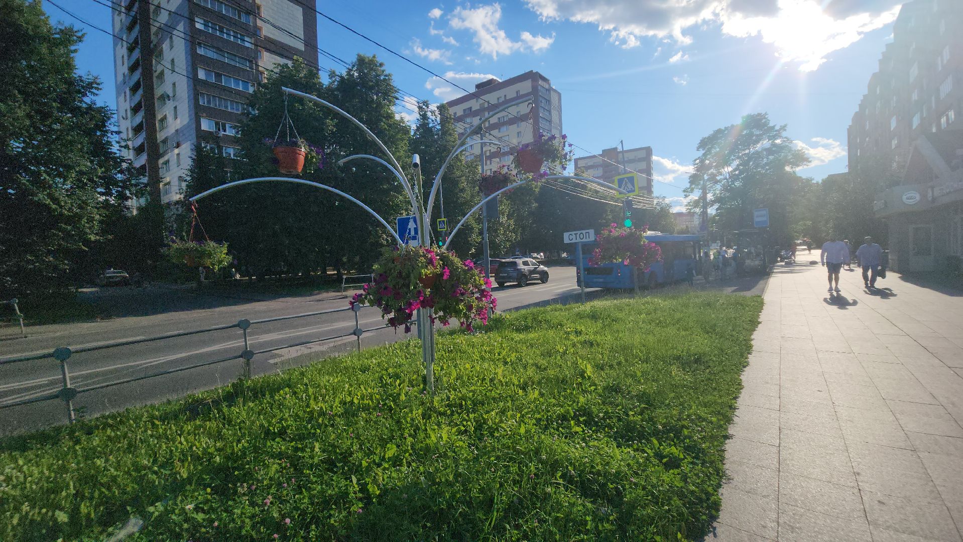 долгопрудный, клумбы, петуньи, Проспект Пацаева, мбу благоустройство,