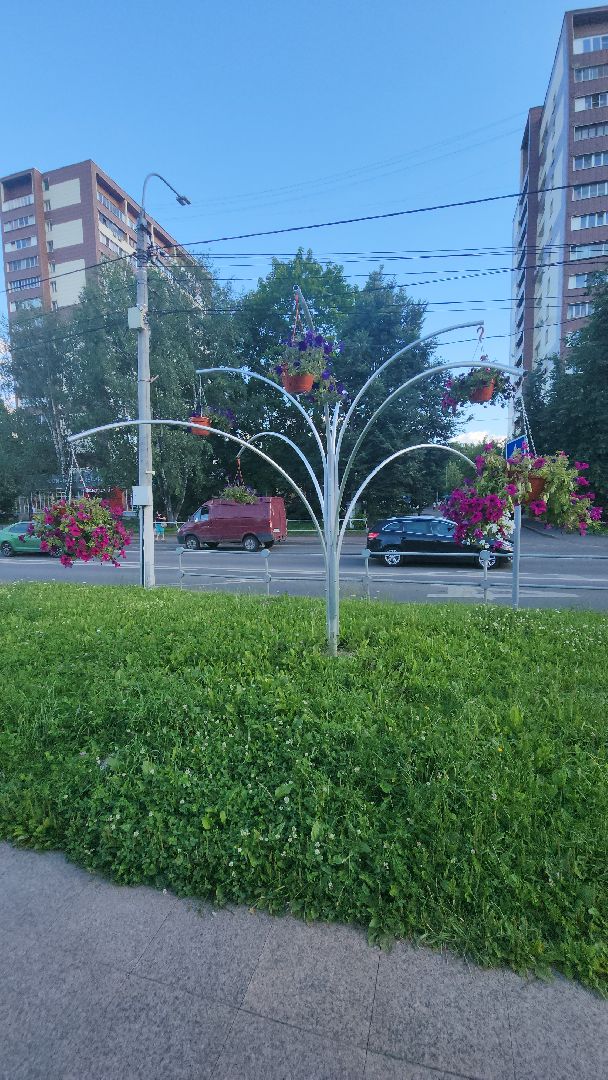 долгопрудный, клумбы, петуньи, Проспект Пацаева, мбу благоустройство,