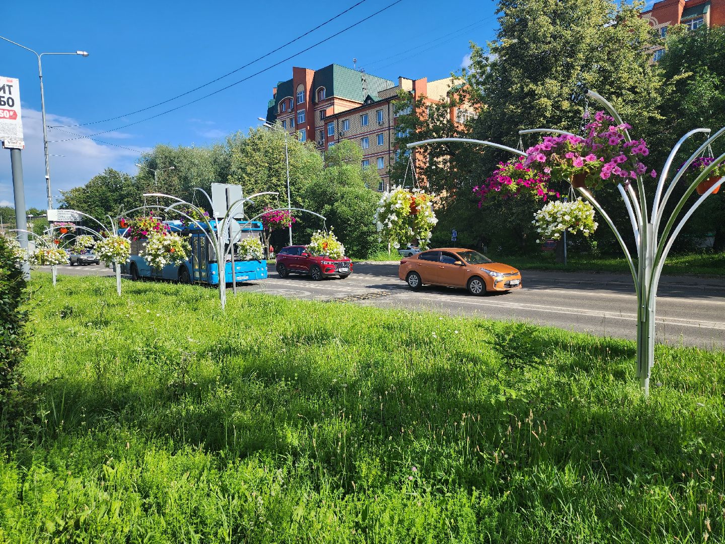 долгопрудный, клумбы, петуньи, Проспект Пацаева, мбу благоустройство,