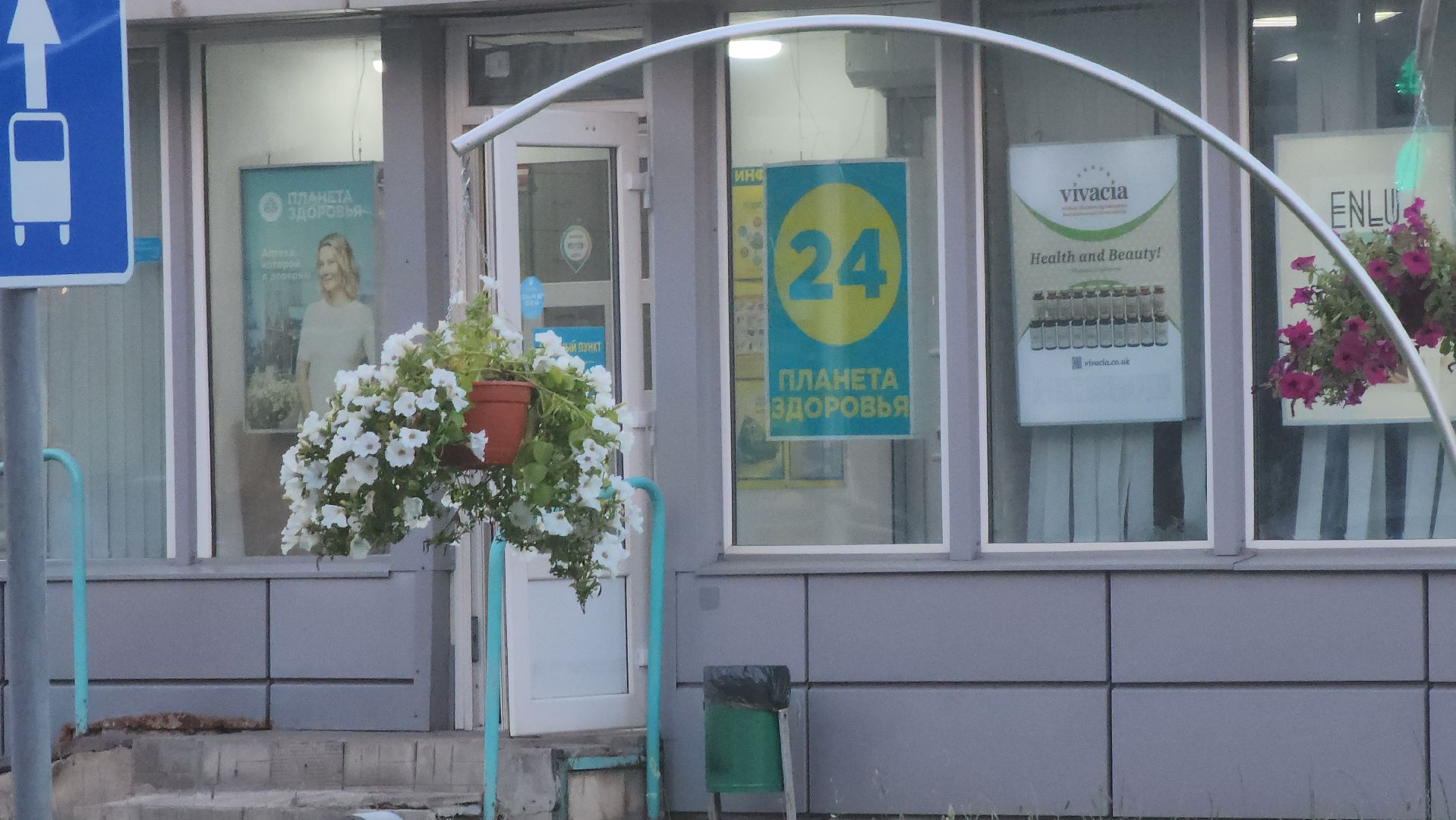 долгопрудный, клумбы, петуньи, Проспект Пацаева, мбу благоустройство,