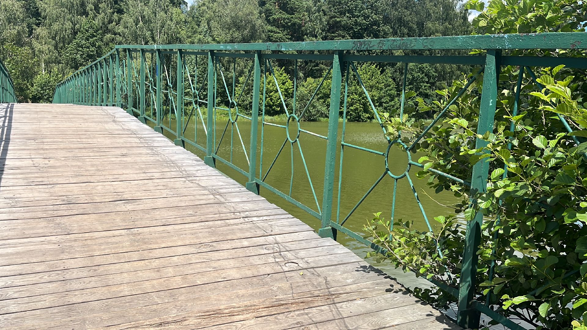 благоустройство, пруд, гагарин, лес, парк, лесопарк,