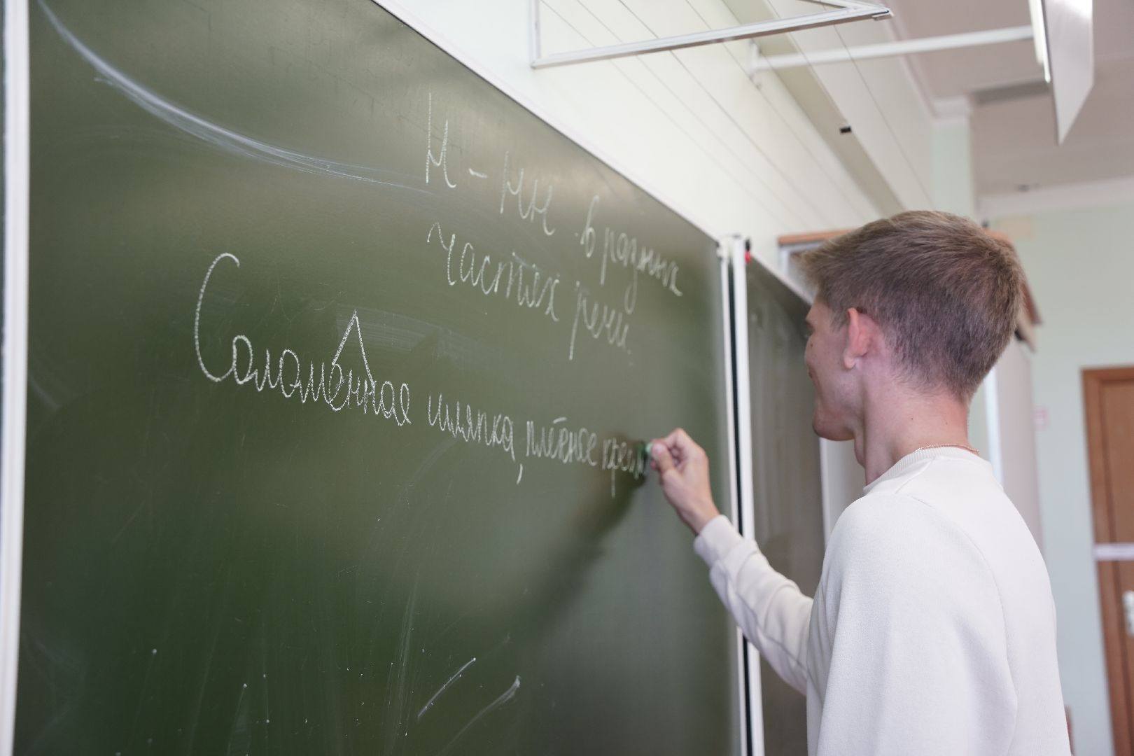 медалисты, Рошаль, рошальский лицей, Большая Шатура,