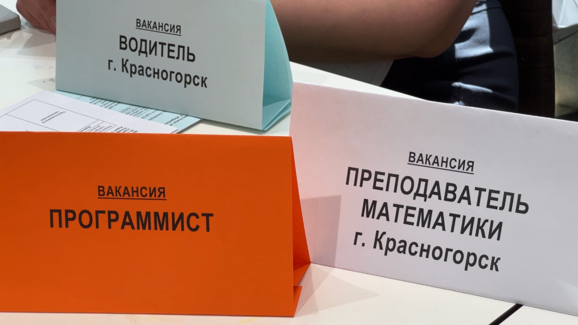 химки, экономика, ярмарка вакансий, трудоустройство,