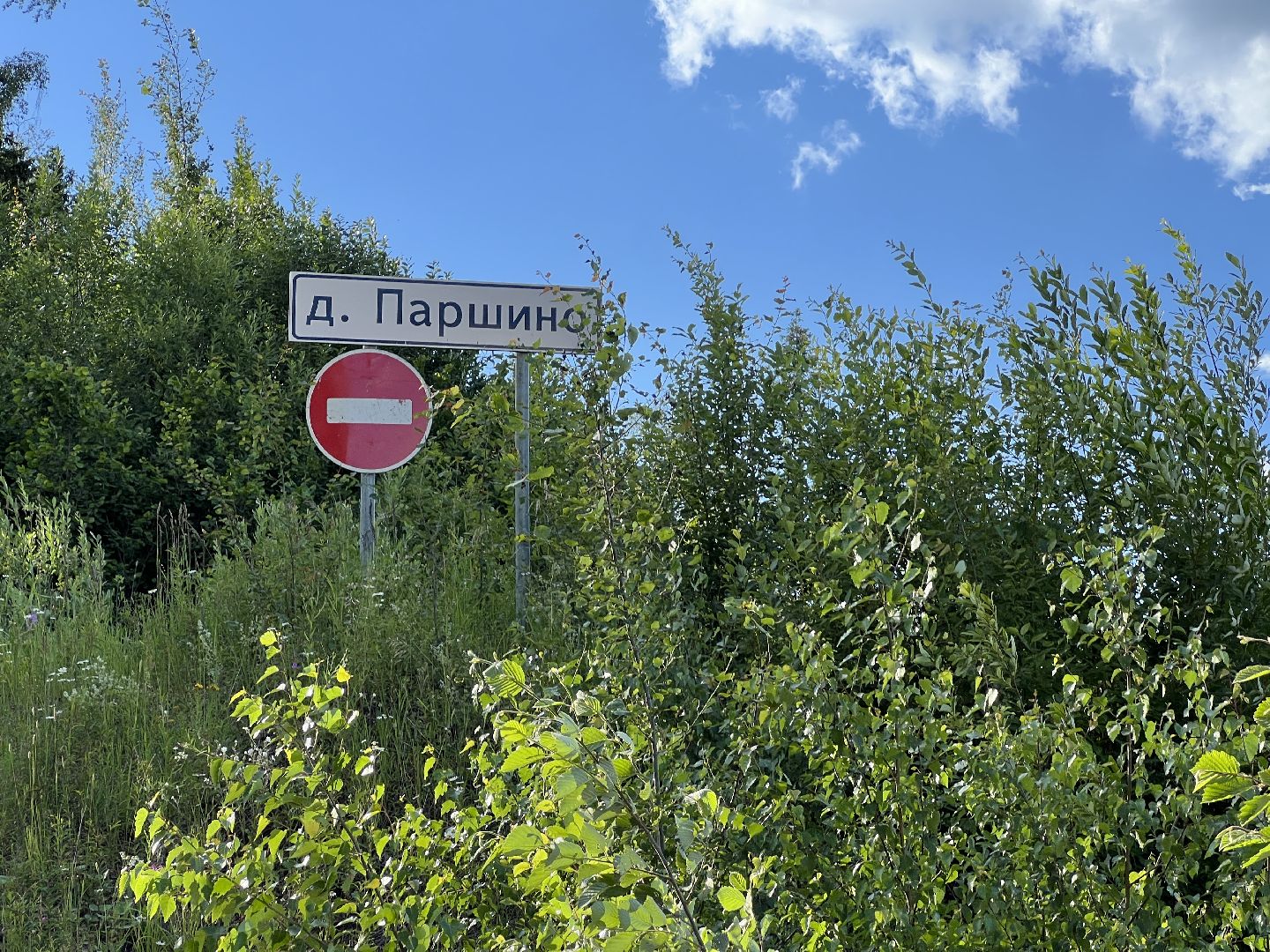 химки, выездная администрация, благоустройство, обращения жителей,