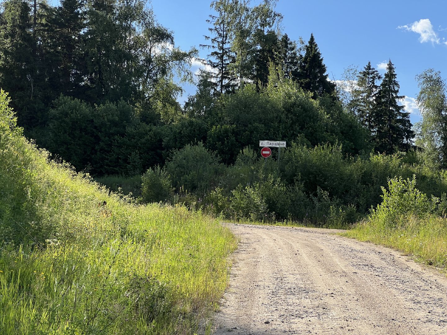 химки, выездная администрация, благоустройство, обращения жителей,