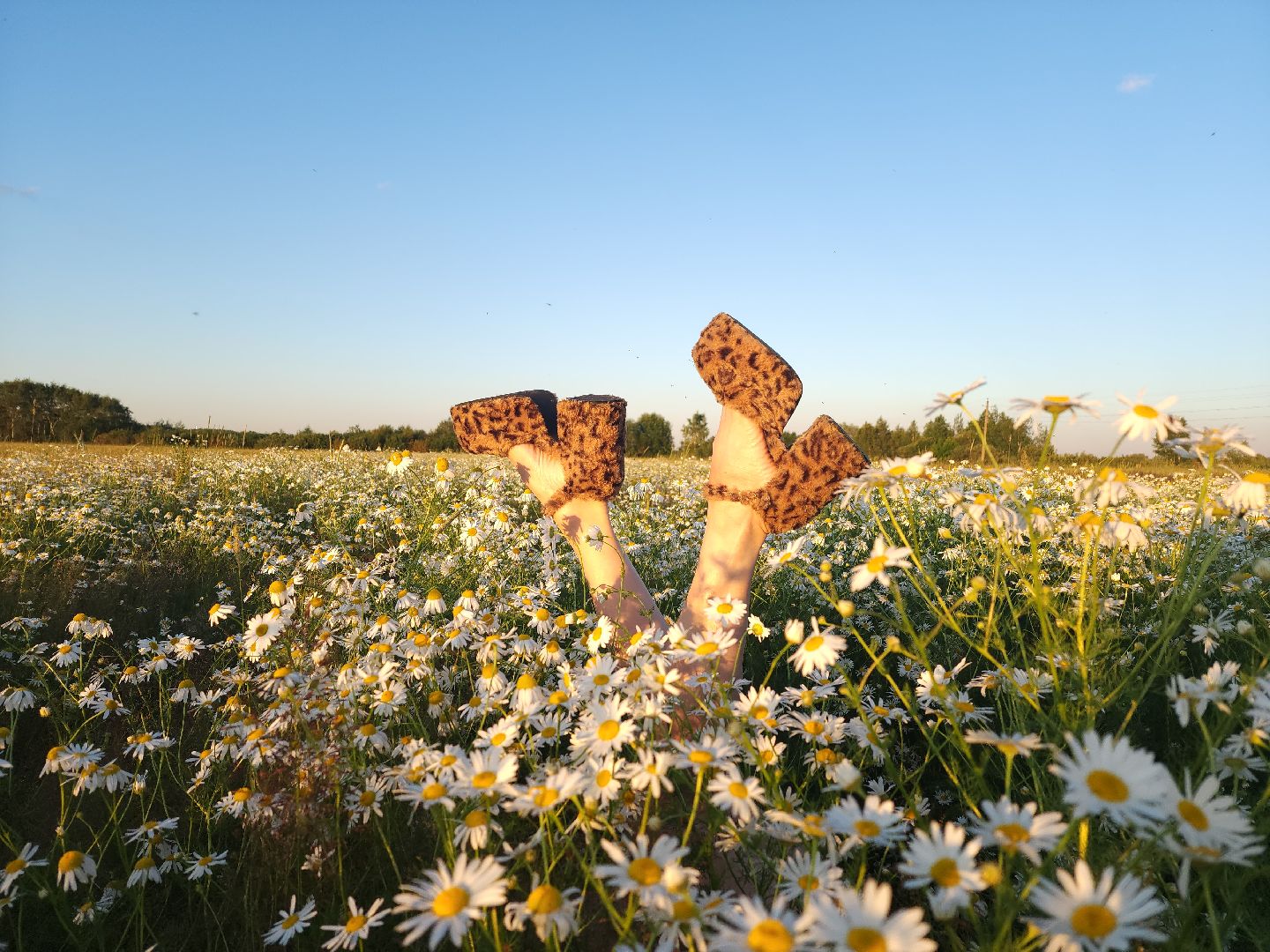 одинцово, фотосессии, туризмм, искусство, мобильная съемка,
