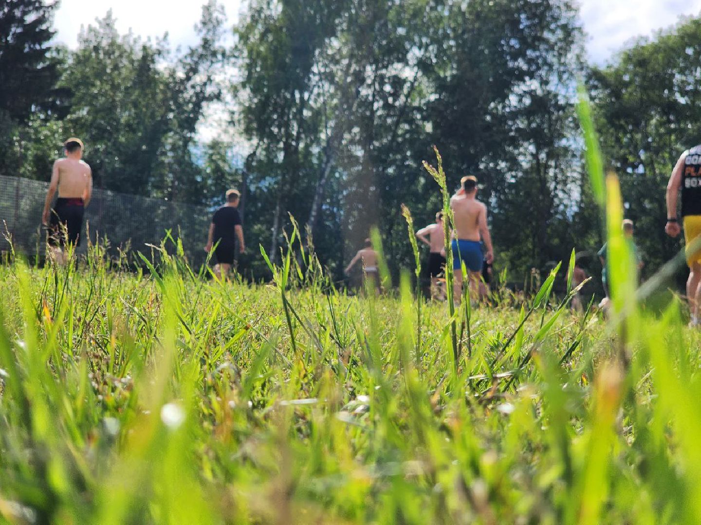 можайск, можайский городской округ, подмосковье, учебно-тренировочные сборы, тренировки, бокс, спорт, мастер спорта России, дети,