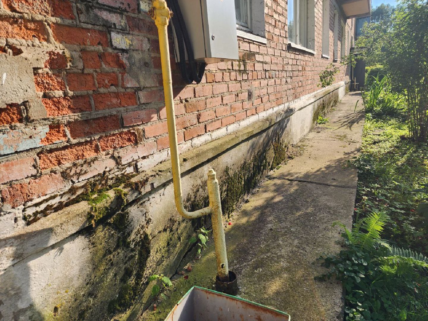 чехов, общество, выездная администрация, жители, покос травы, борщевик,