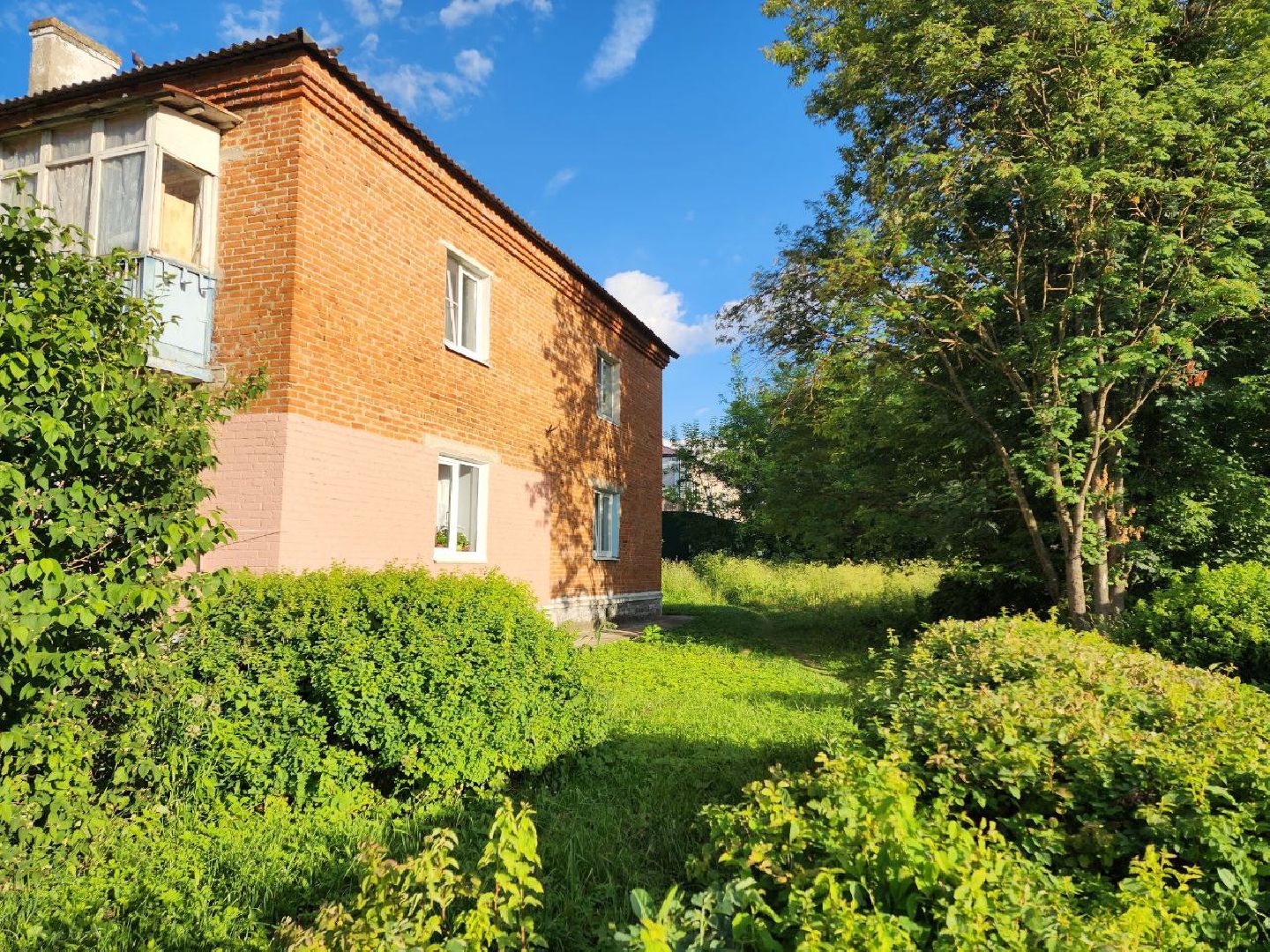 чехов, общество, выездная администрация, жители, покос травы, борщевик,