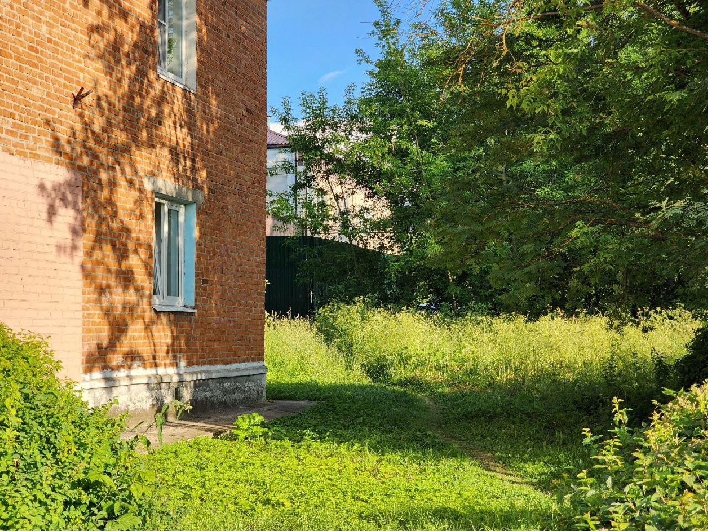 чехов, общество, выездная администрация, жители, покос травы, борщевик,