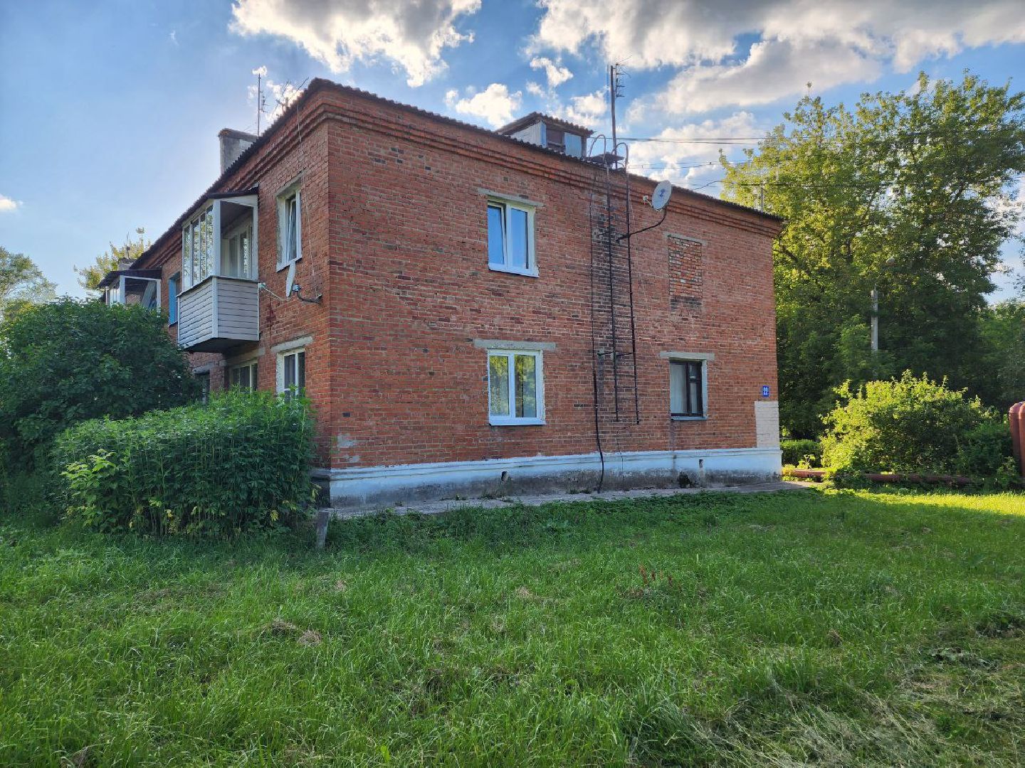 чехов, общество, выездная администрация, жители, покос травы, борщевик,