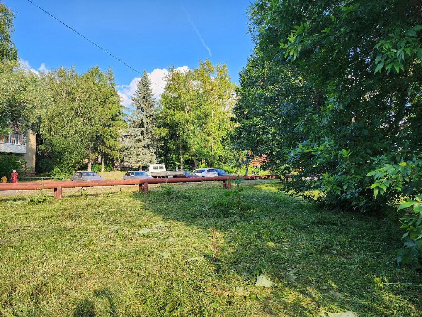 чехов, общество, выездная администрация, жители, покос травы, борщевик,