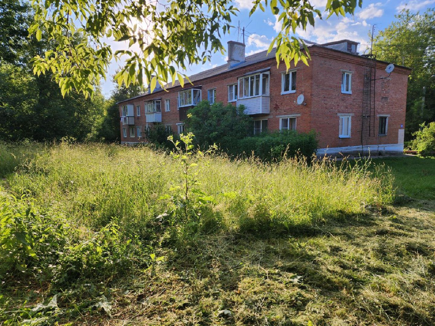 чехов, общество, выездная администрация, жители, покос травы, борщевик,