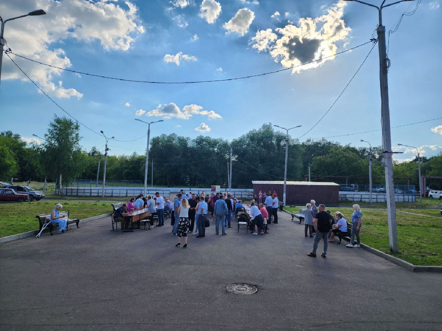 чехов, общество, выездная администрация, жители, покос травы, борщевик,