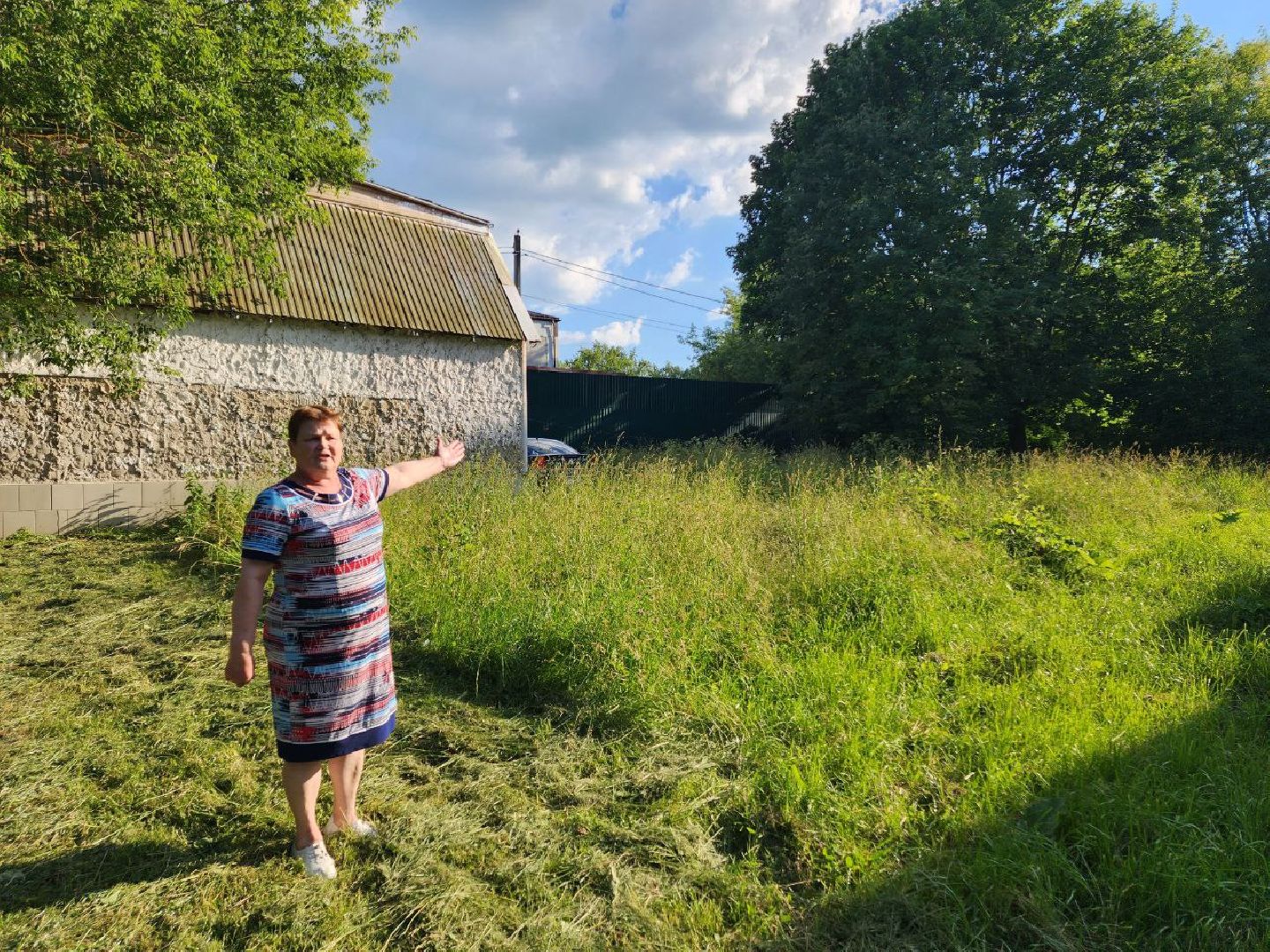 чехов, общество, выездная администрация, жители, покос травы, борщевик,