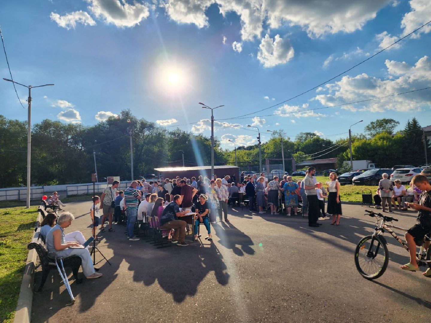 чехов, общество, выездная администрация, жители, покос травы, борщевик,