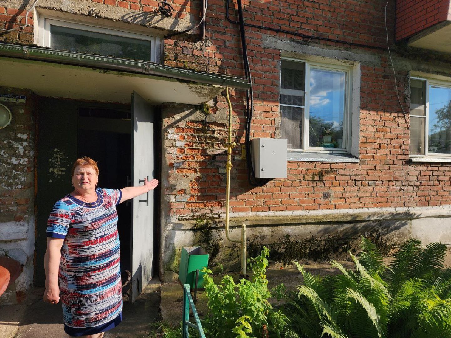 чехов, общество, выездная администрация, жители, покос травы, борщевик,