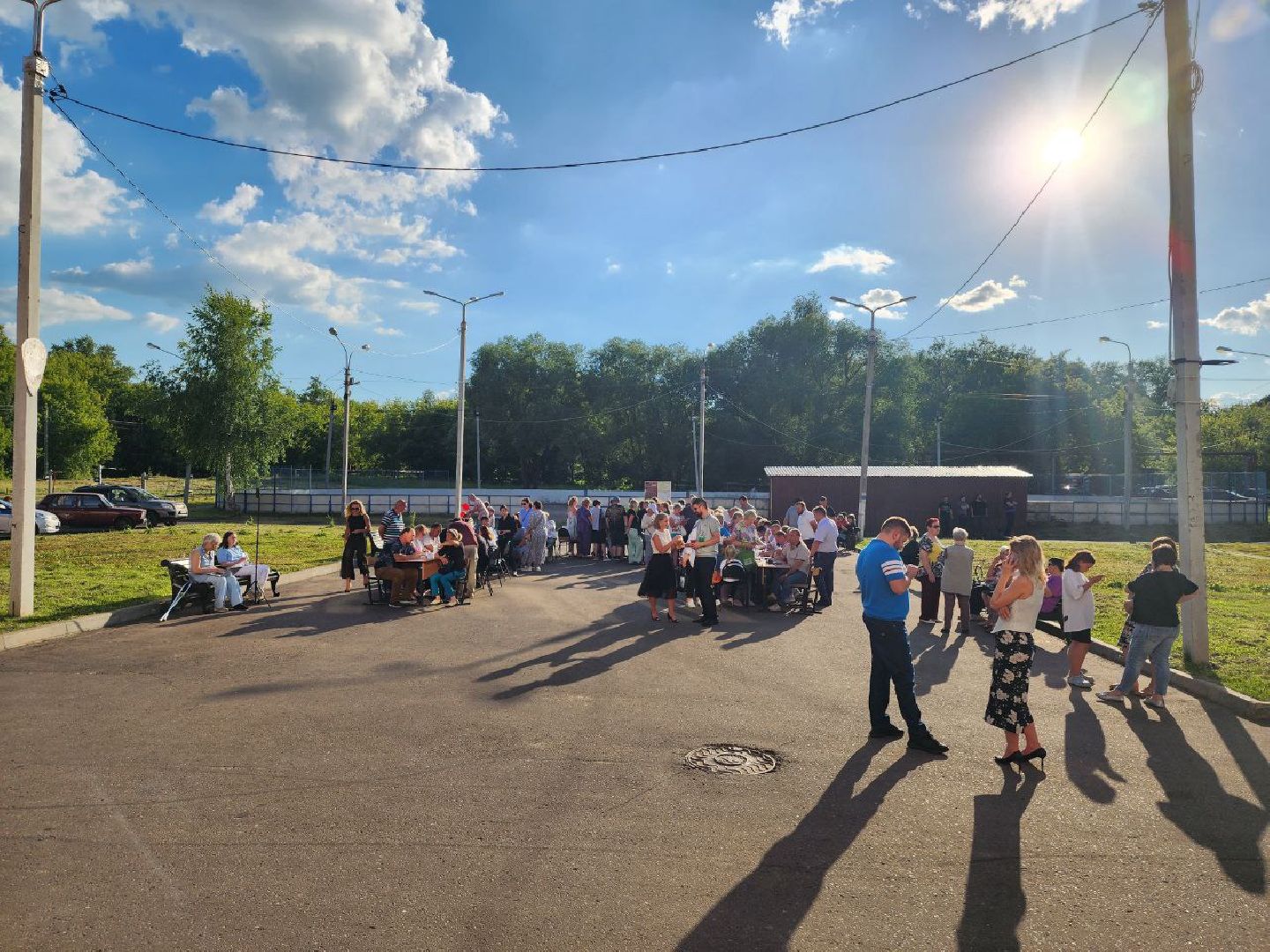 чехов, общество, выездная администрация, жители, покос травы, борщевик,