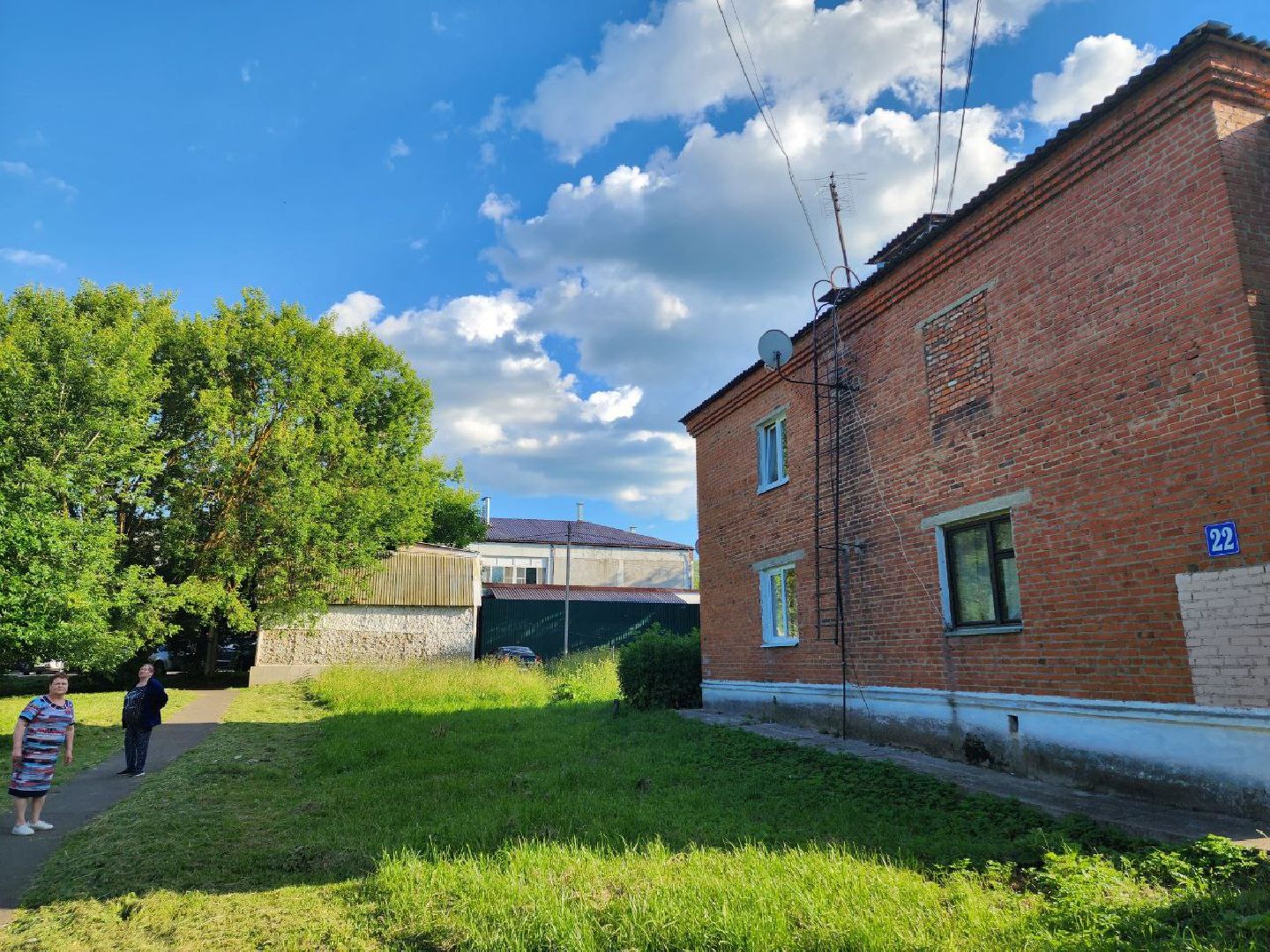 чехов, общество, выездная администрация, жители, покос травы, борщевик,