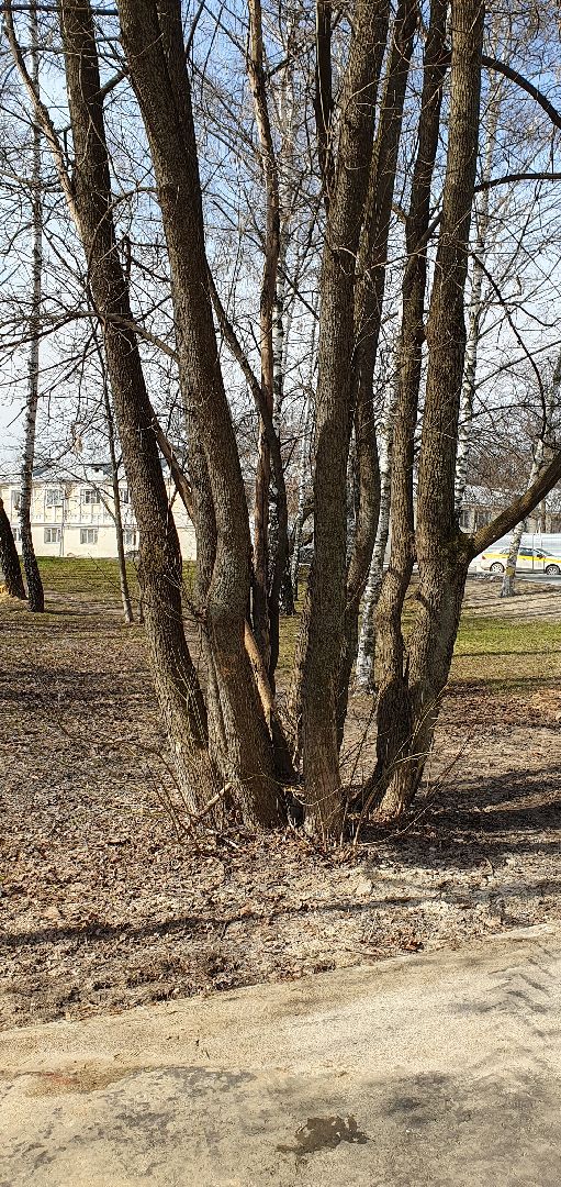 Уборка территорий, ГУСТ, общественные пространства, Дзержинский