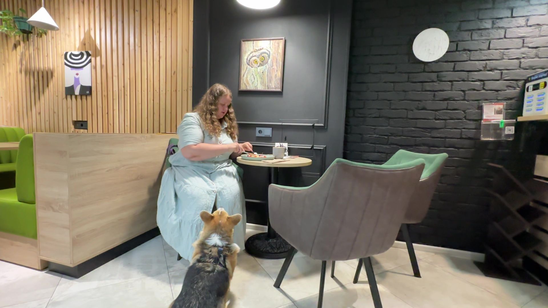 Реутов, петфренжди, дружелюбно к животным, еда, вода, кафе, кошечки, собачки,