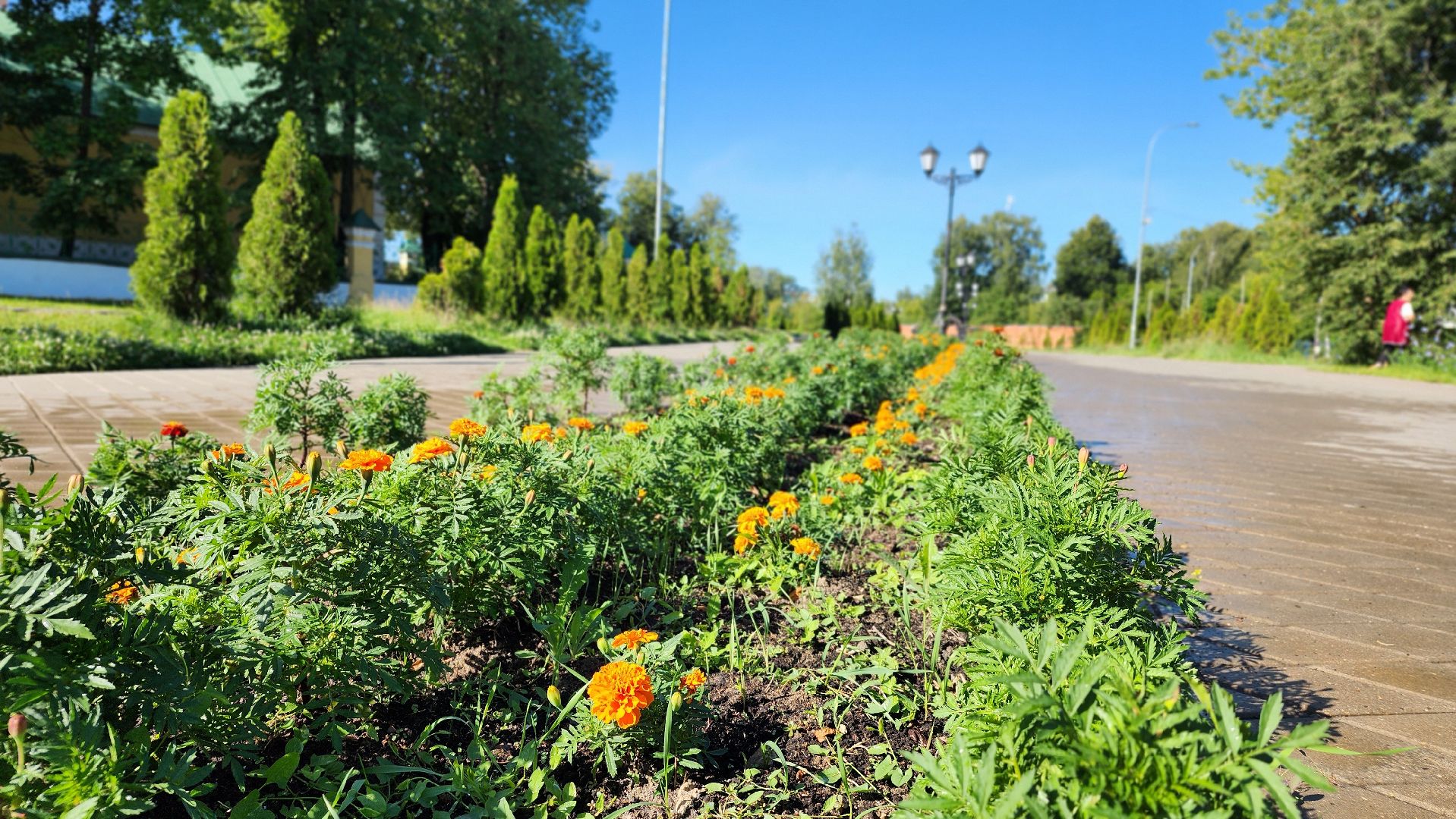 благоустройство, клумбы, Лосино-Петровский,