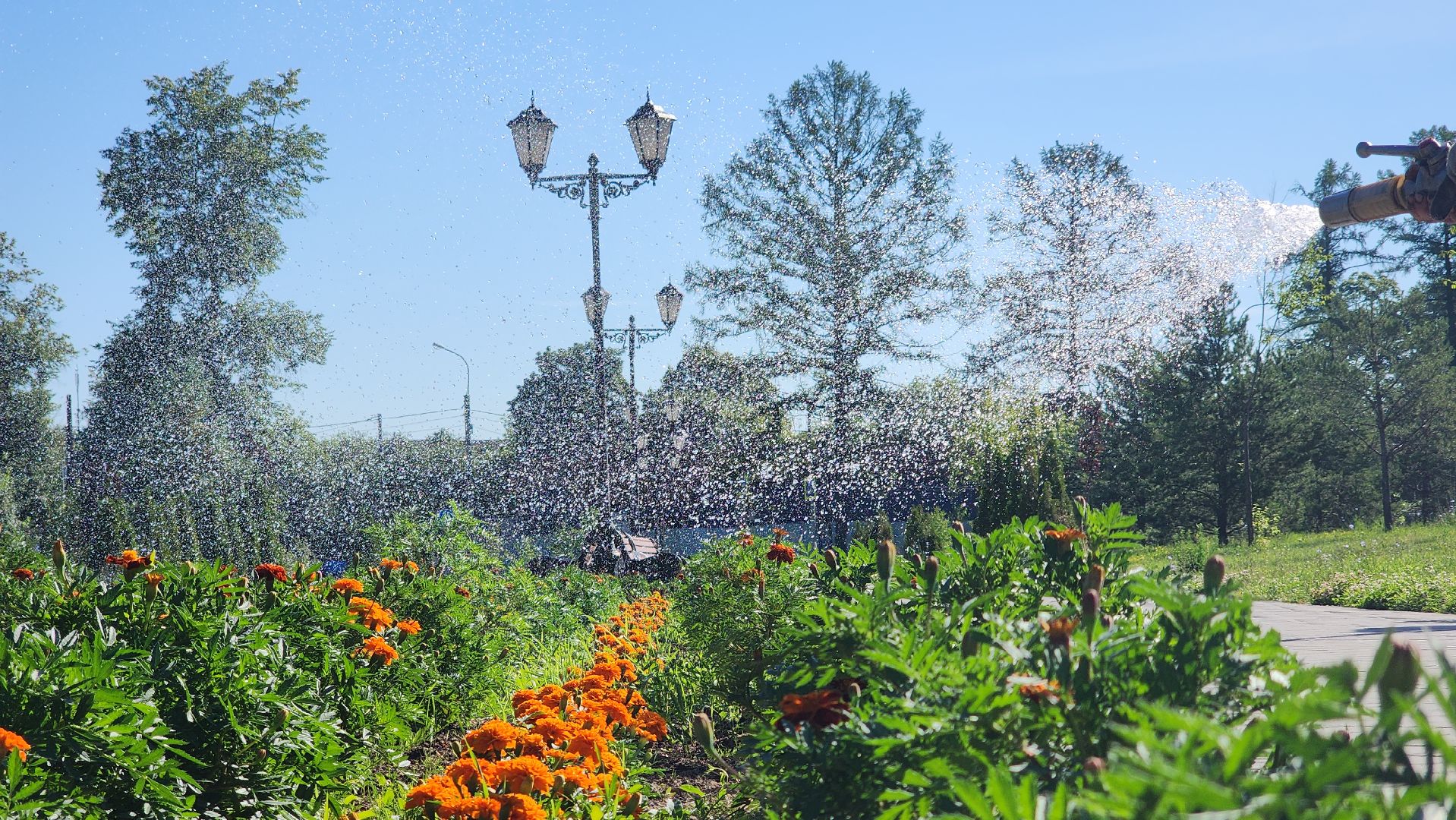 благоустройство, клумбы, Лосино-Петровский,