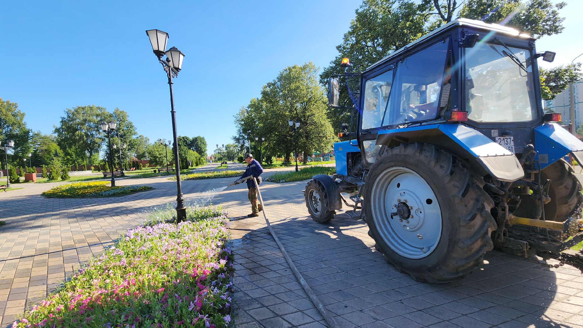 благоустройство, клумбы, Лосино-Петровский,