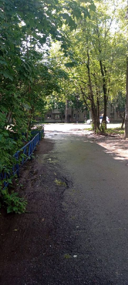 пушкино, благоустройство, подтопления, последствия непогоды,