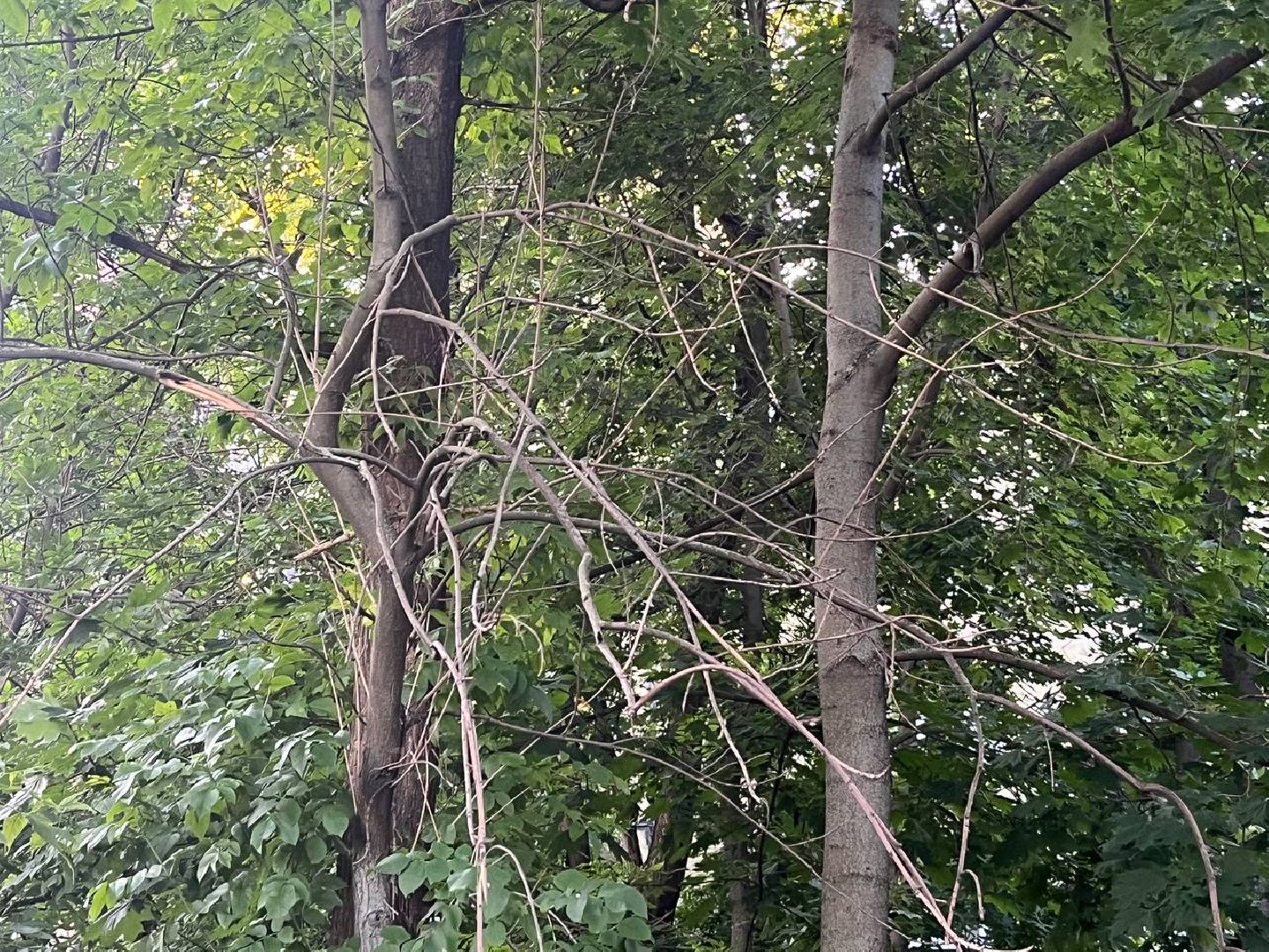 лыткарино, выездная администрация, благоустройство, жкх,