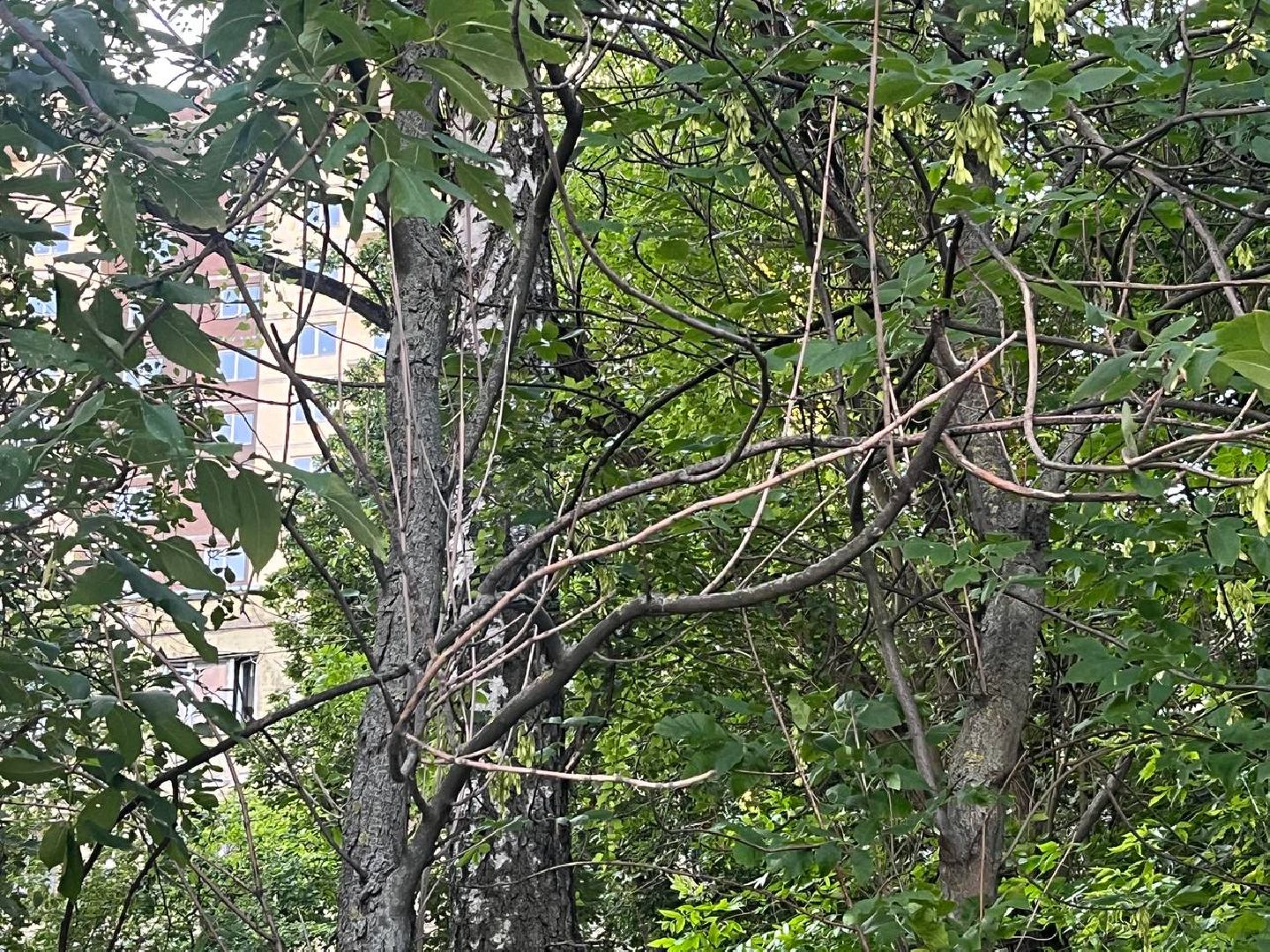 лыткарино, выездная администрация, благоустройство, жкх,