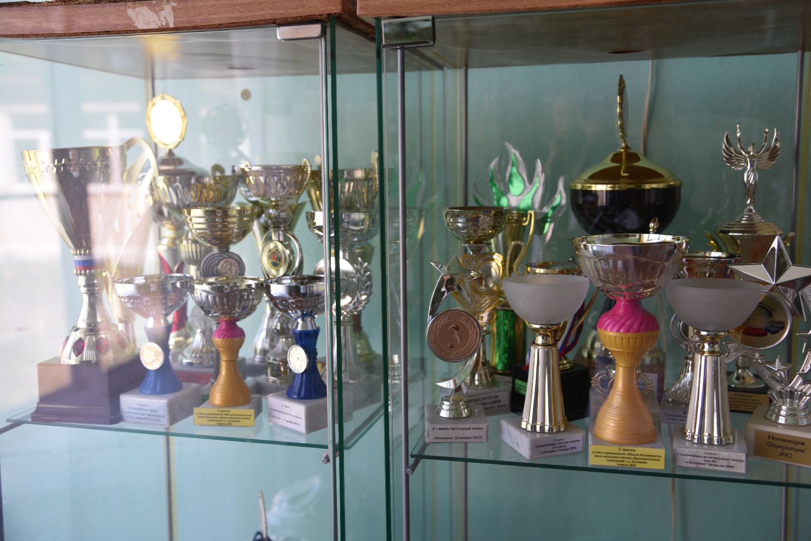 лотошино, ошейкино, ошейкинская школа, выпускник 2024, выпускной 2024, образование,