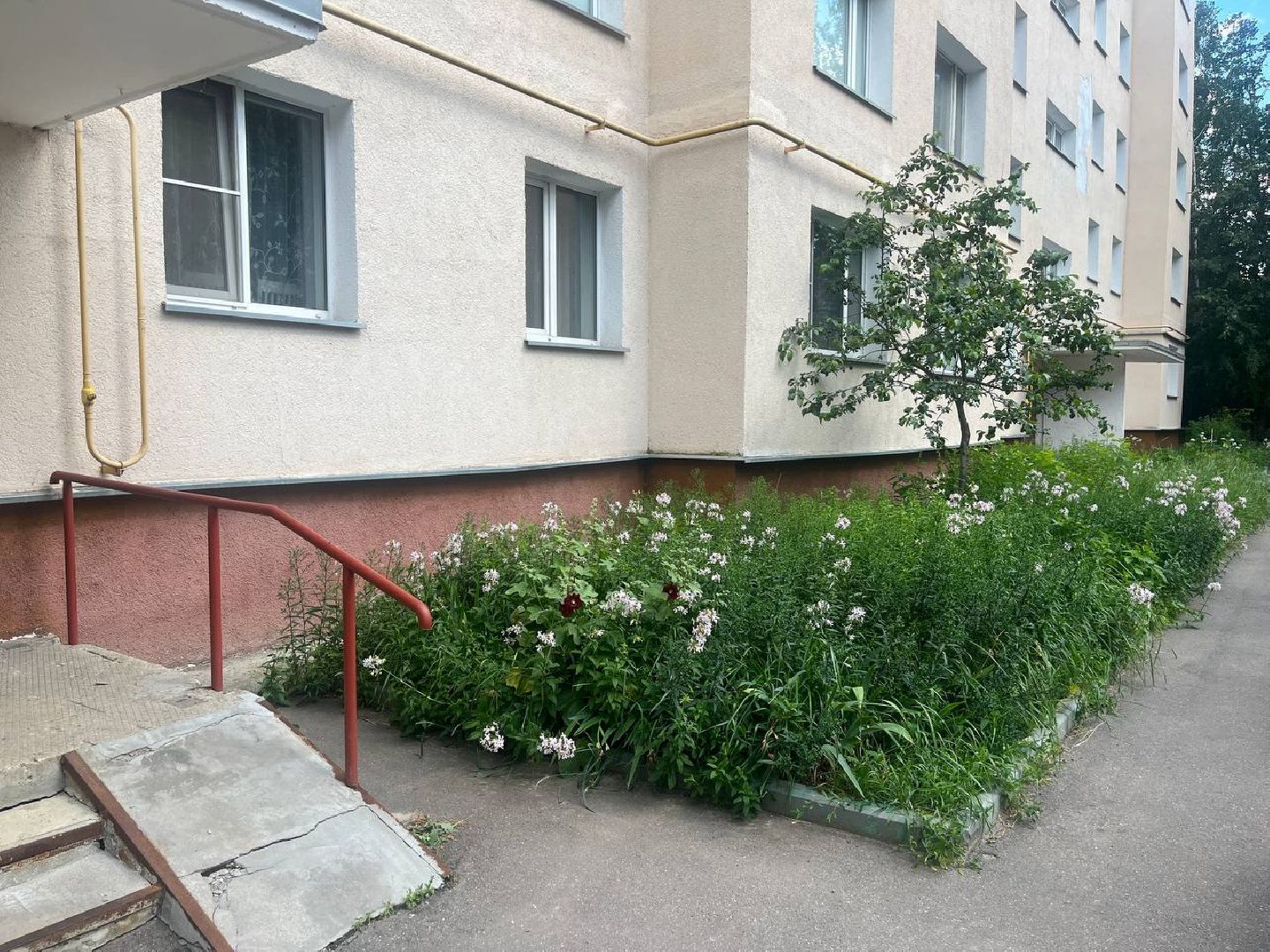 лыткарино, выездная администрация, благоустройство, жкх,