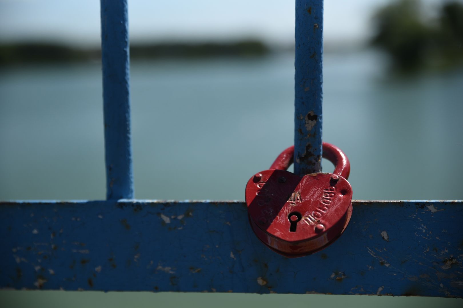Бронницы, Парк Бронницкий Луг, Регистрация брака в парке, Свадьба в парке,