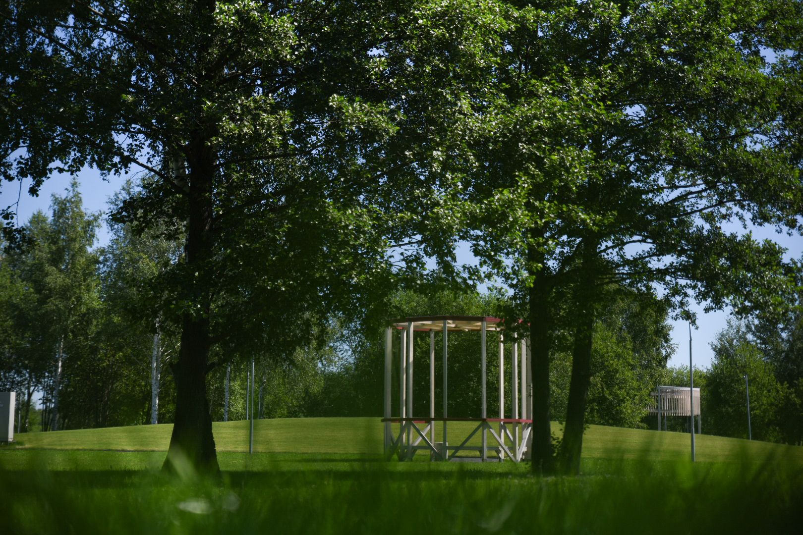 Бронницы, Парк Бронницкий Луг, Регистрация брака в парке, Свадьба в парке,