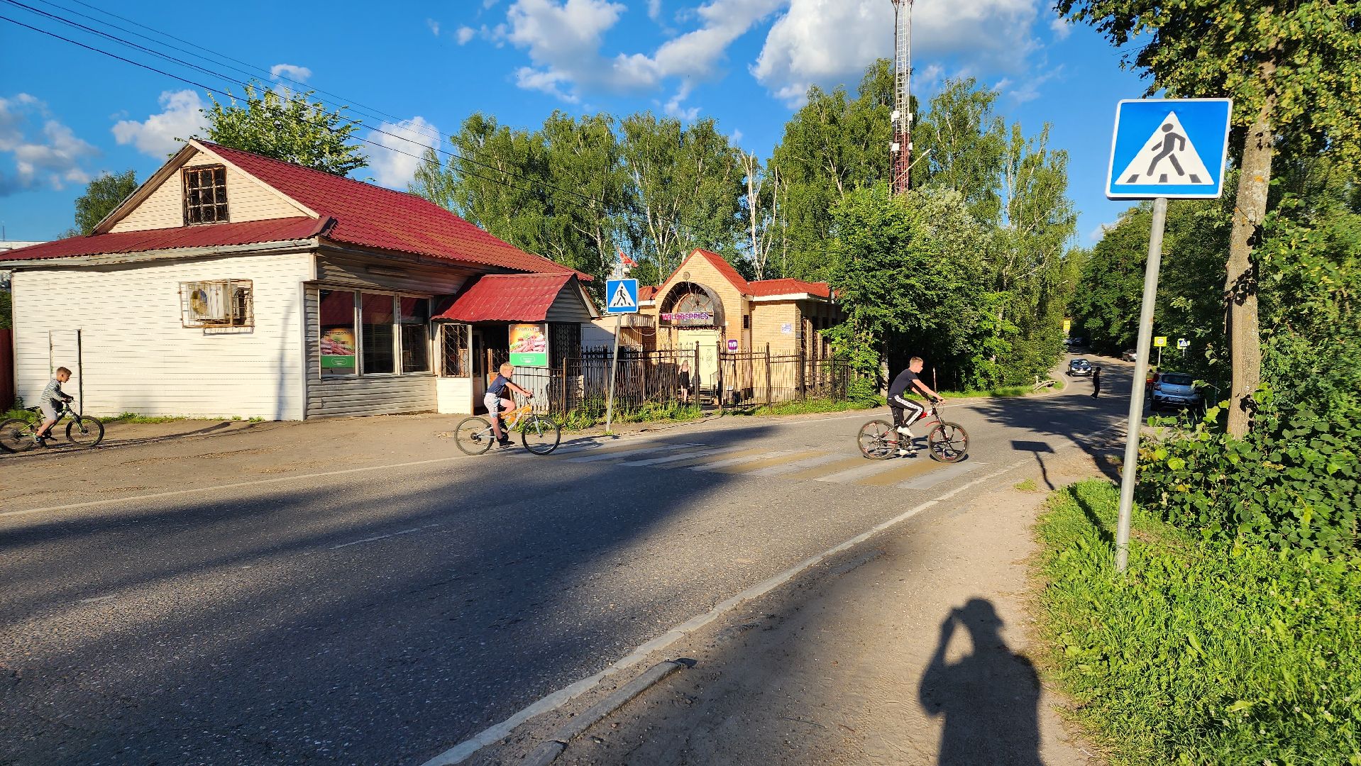 выездная администрация, подмосковье, безопасность, общество, дороги, пешеходный переход, светофор,
