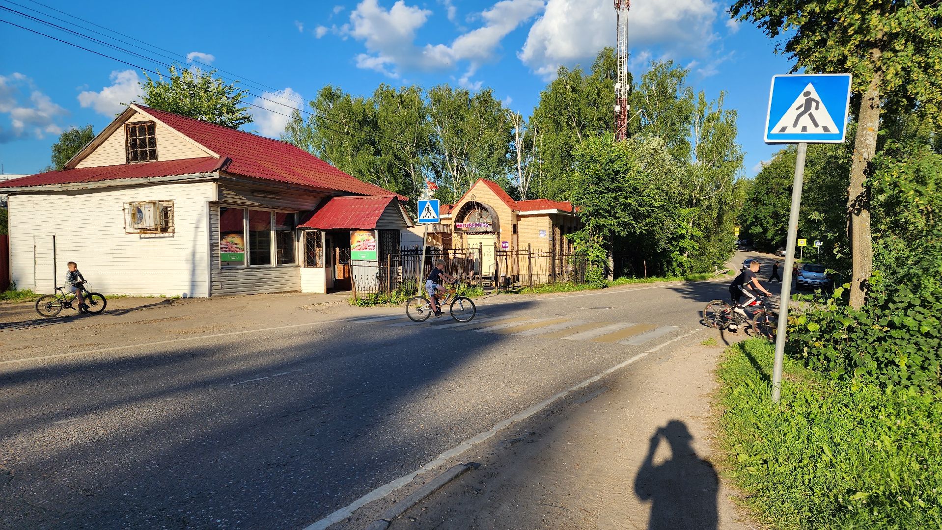 выездная администрация, подмосковье, безопасность, общество, дороги, пешеходный переход, светофор,