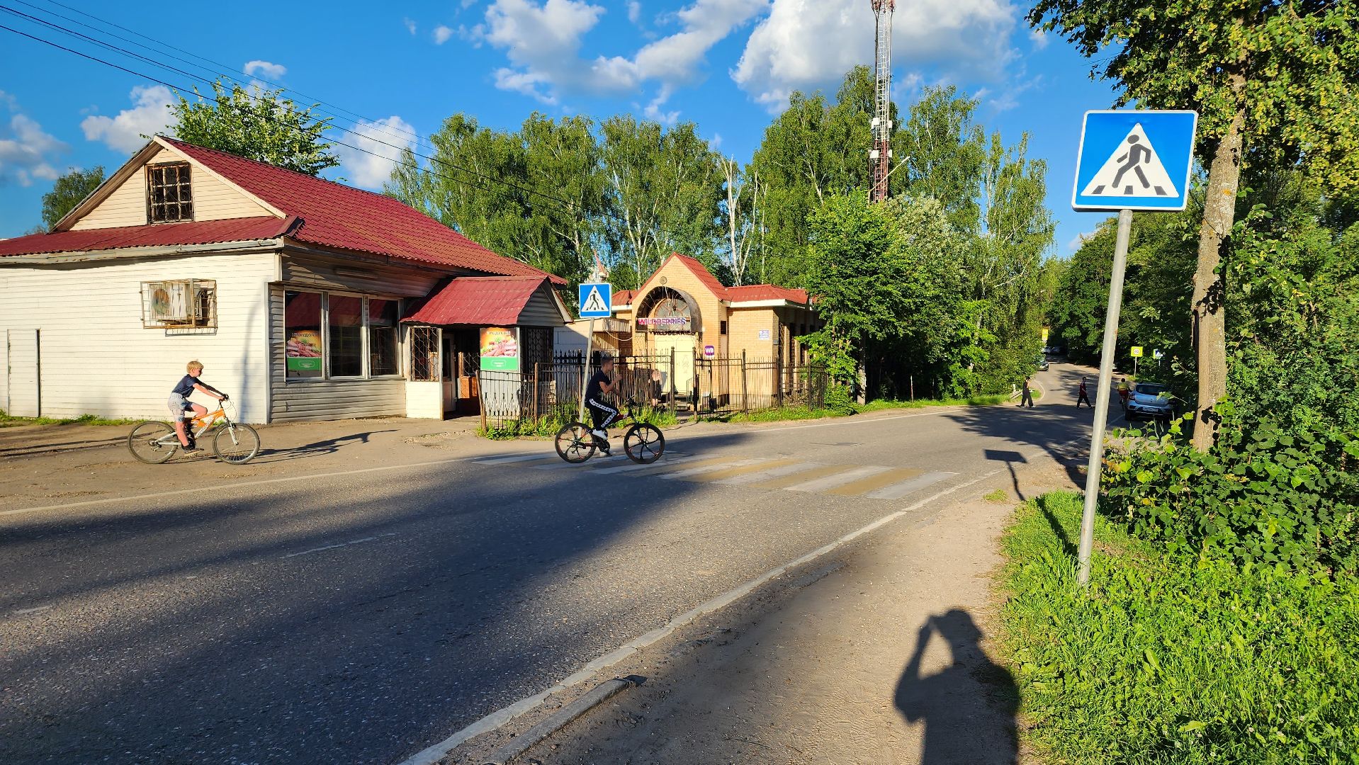 выездная администрация, подмосковье, безопасность, общество, дороги, пешеходный переход, светофор,