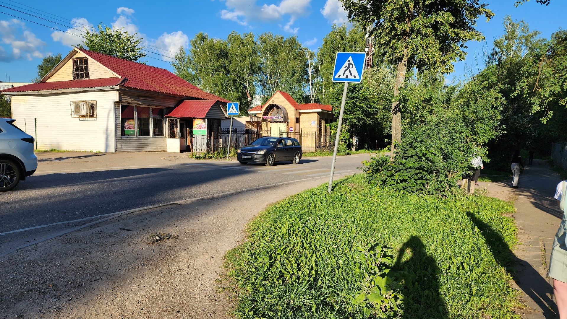 выездная администрация, подмосковье, безопасность, общество, дороги, пешеходный переход, светофор,