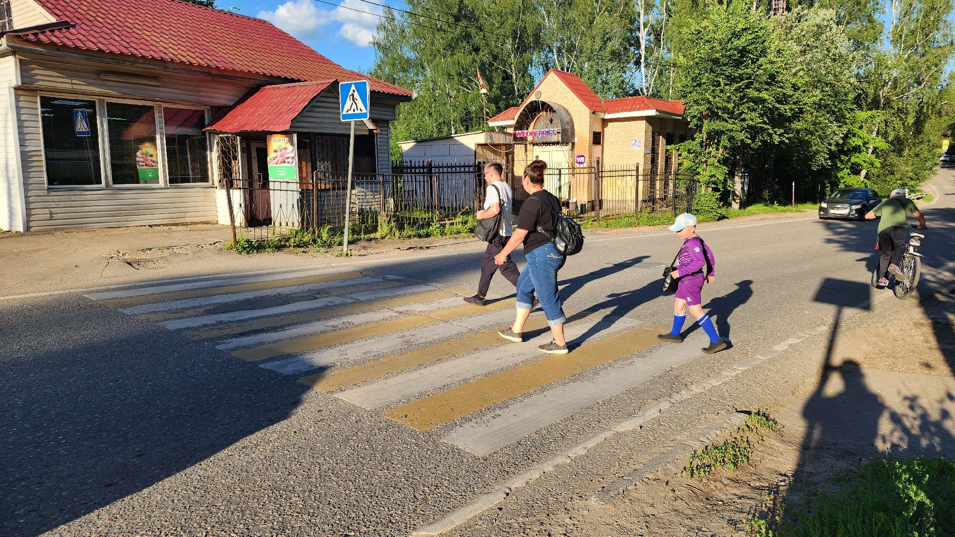 выездная администрация, подмосковье, безопасность, общество, дороги, пешеходный переход, светофор,