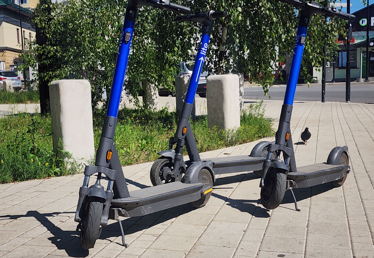 звенигород, Благоустройство, остановки,